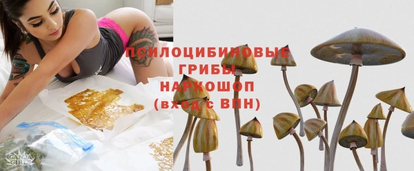 мяу мяу мука Арсеньев