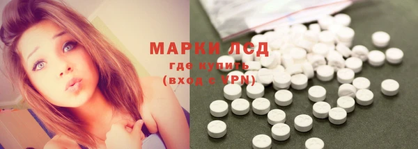 спиды Аркадак