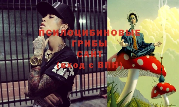 гидропоника Армянск