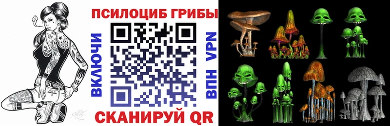 продажа наркотиков Омутнинск Псилоцибиновые грибы GOLDEN TEACHER